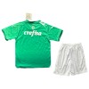 Officiële Voetbalshirt + Korte Broek Palmeiras Special Edition 2024 Groene - Kids